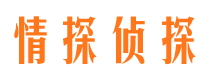 九原情探私家侦探公司